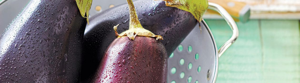 Everything You Need to Know About Eggplant