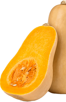 recipe-left-img cut in half butternut squash clipping