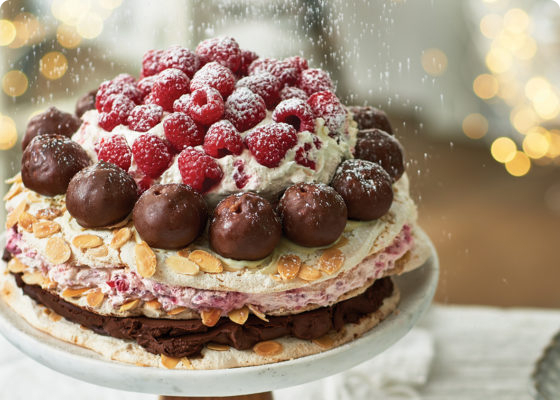 Almond Meringue & Chocolate-Raspberry Torte