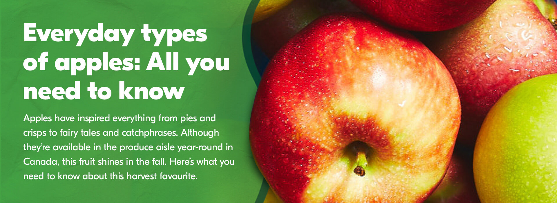 Text Reading 'Everyday types of apples: All you need to know. Apples have inspired everything from pies and crisps to fairy tales and catchphrases. Although they're available in the produce aisle year-round in Canada, this fruit shines in the fall. Here's what you need to know about this harvest favourite.'