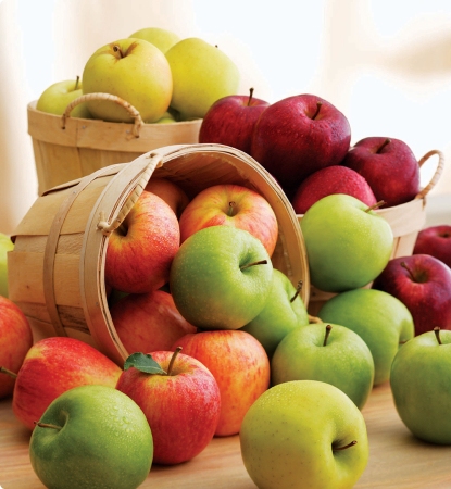 Close-up shot of a variety of apples