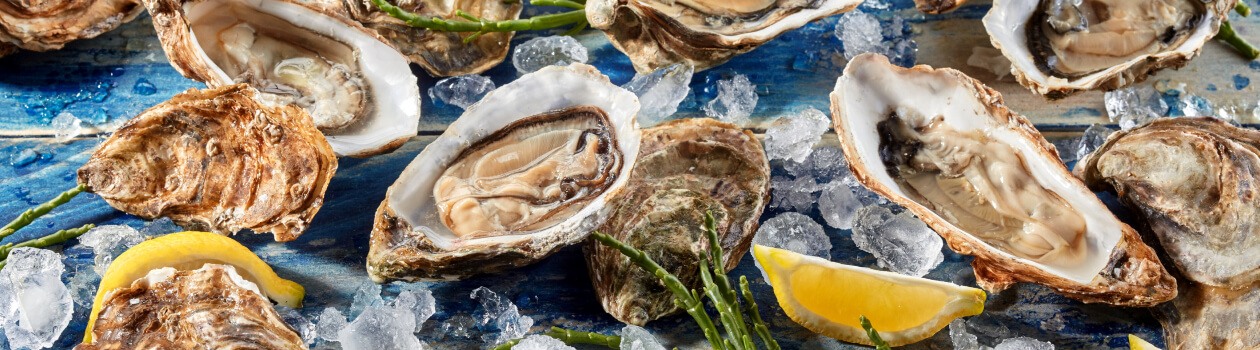 Close-up shot of oysters on a turquoise background with lemon wedges and ice.