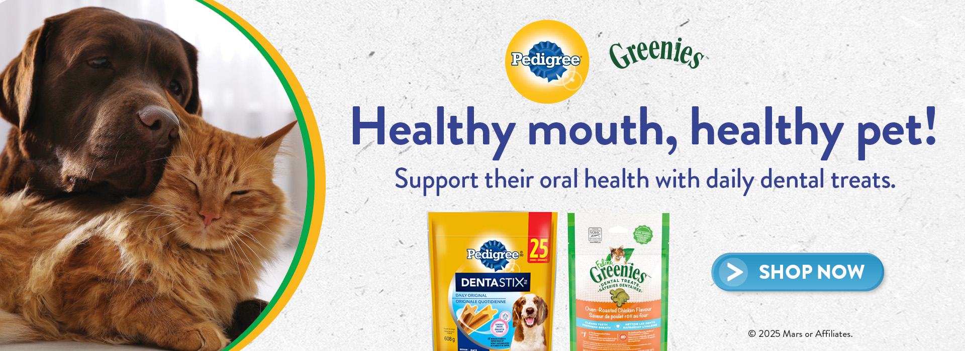 Healthy Mouth Healthy Pet