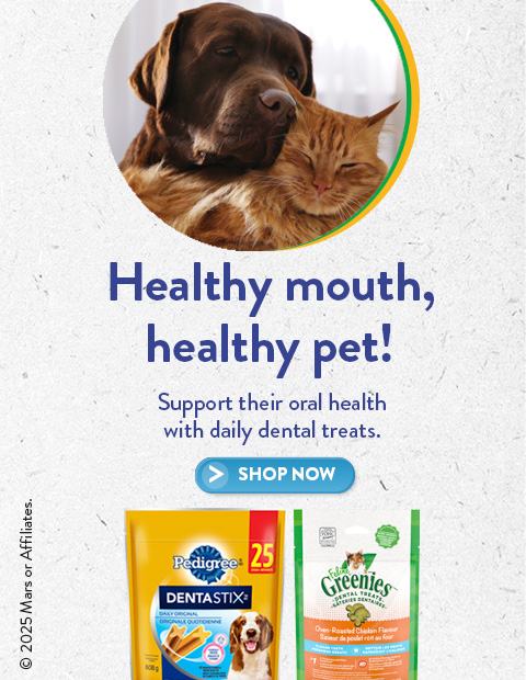 Healthy Mouth Healthy Pet