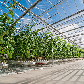 Greenhouse Growing Works Greenhouse Growing Works