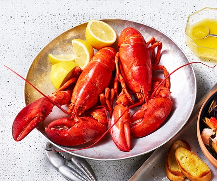first-of-the-season-lobster_ First of the season lobster
