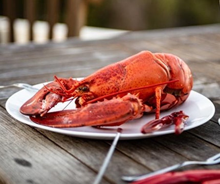 wines-go-well-with-lobster_ What wines go well with lobster