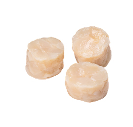Scallop Medallions