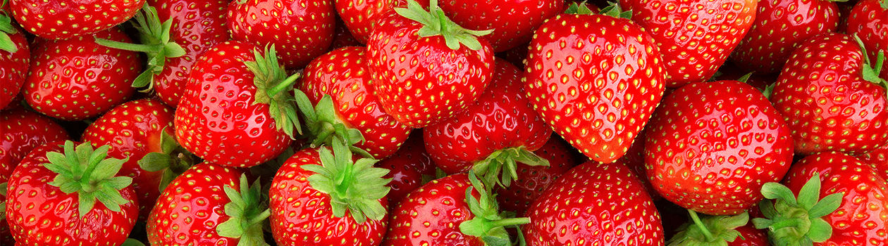 Overhead shot of blueberries and strawberries